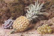 John Sherrin A Pineapple and Grapes on a mossy Bank (mk37) Germany oil painting artist